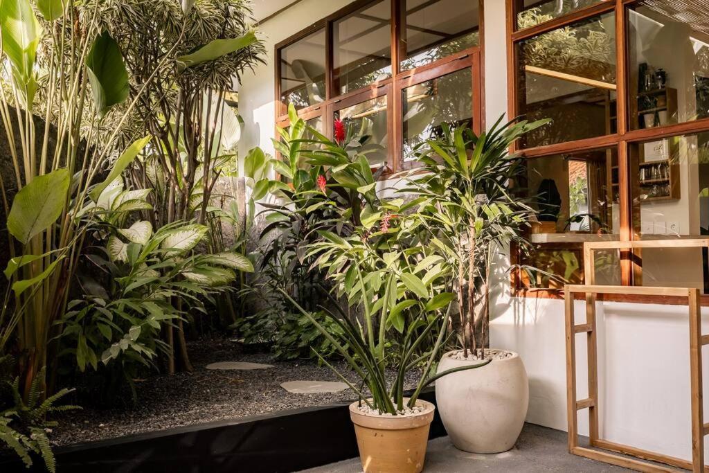 Mahira - Charming 1br With Living And Full Kitchen, Nestled In Quiet Jungle Villa *